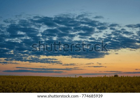 Natural Sunset Sunrise Over Field Or Meadow. Bright Dramatic Sky And Dark Ground. Countryside Landscape Under Scenic Colorful Sky At Sunset Dawn Sunrise. Sun Over Skyline, Horizon. Warm Colours.