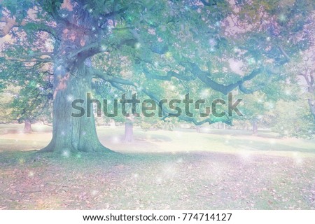  Spirit Orbs attracted to Ancient Oak Tree  - Big old oak tree with ethereal lighting and many different coloured orb lights depicting spiritual entities with copy space
                              