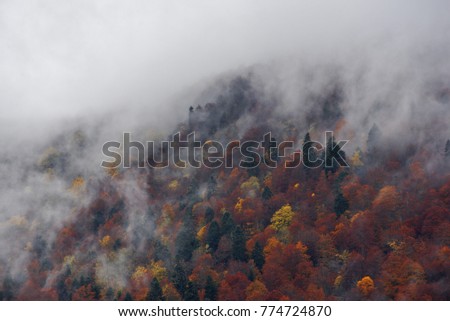 The upcoming cloud covers the autumn forest at the top of the mountain