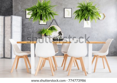 Eco friendly house dining room interior with fern plants and a screen