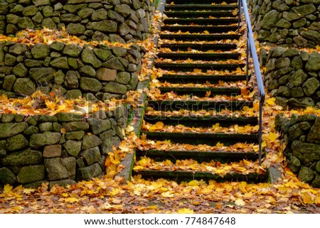 Colorful orange & yellow fallen leaves blanket a stone stairway through stone retaining walls