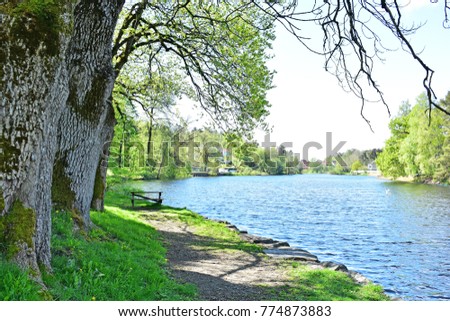 View of the park in the Arendal city of Norway in the sunny day. park on the side of the river. city park, the relaxing Place in the city With alot of trees and beautiful Natural around. 