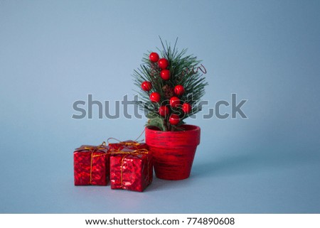 Mistletoe in flowerpot with gift boxes on blue background