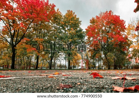 Basketball playground in the autumn city park