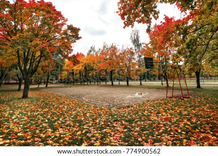Basketball playground in the autumn city park