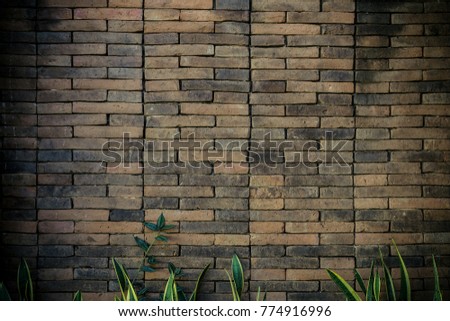 Old brick walls and an old concrete wall texture  Concrete building materials stone materials materials moss.