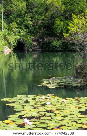 water lilies and a secret cave in Sintra Mountain, Portugal