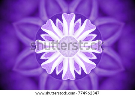 Violet wild flower petals with kaleidoscope effect, abstract color Ultra Violet background.