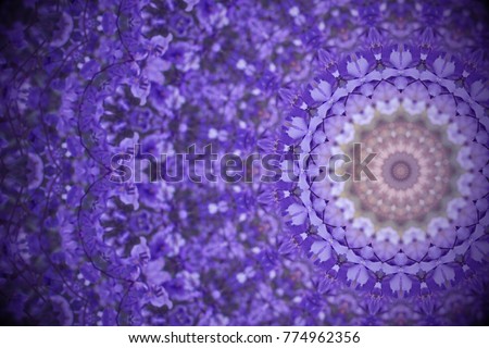 Violet wild flowers with kaleidoscope effect, abstract color Ultra Violet background.