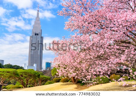 Tokyo, Japan spring in Shinjuku Park. Royalty-Free Stock Photo #774983032