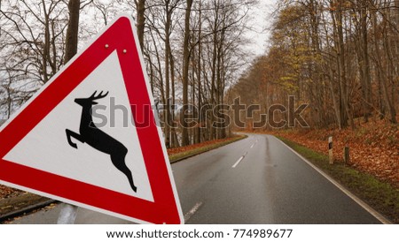 Road sign. Caution wild crosses the road