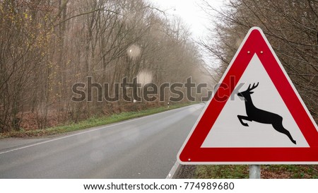 Road sign. Caution wild crosses the road