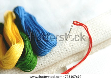 Needle in canvas with threads of different colors for embroidery. Embroidery macro close up. View from above. Free copy space.