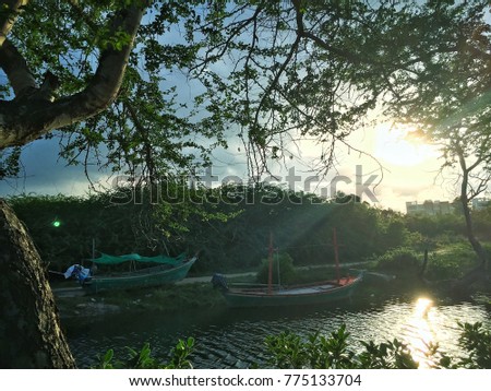 The local fisherman’s village, Parking their fishing boat in front of river mount, hidden in the mangrove forest during the beautiful sunset beam. Silhouette tree make a picture frame.