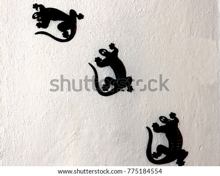 Three iguanas on the wall