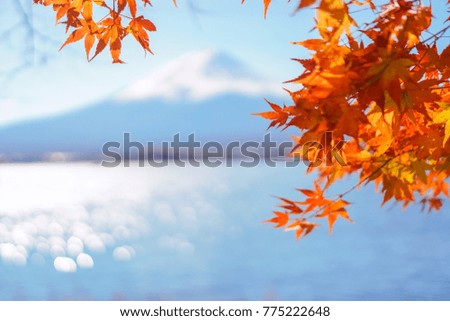 Close up red maple leaf with blurry mount Fuji background in early winter season. Japan