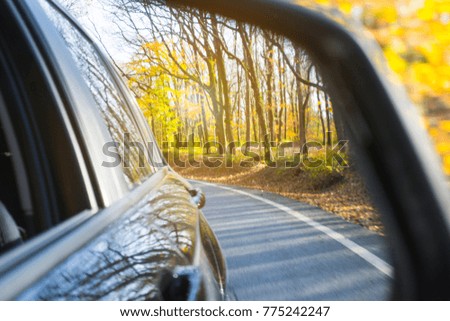 View mirror of car. Fall scene.