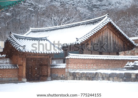 snow covered trees and snow covered Korean traditional temple roof tile