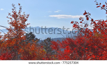 Mountains View from Mount Takao, with Red Leaves