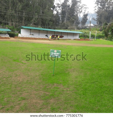 gorgeous green covered grass