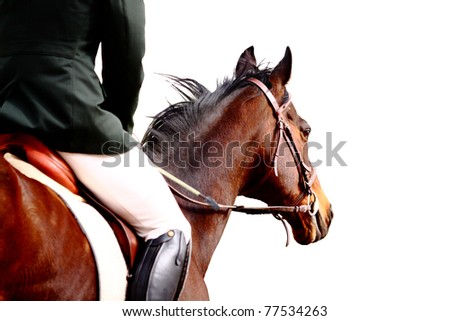 Dressage horse Royalty-Free Stock Photo #77534263