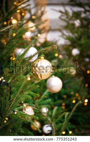 Christmas tree, spruce branches, cones. Christmas decorations