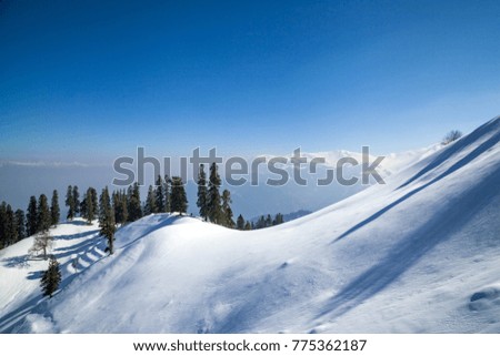 Snow Covered Himalayan Mountains with pine Trees in Gulmarg, Jammu and Kashmir, India