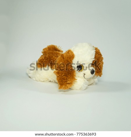 Soft toy. The little dog lies with a brown back and white paws.