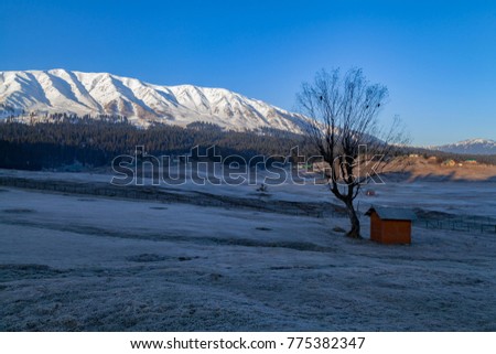 Snow Covered Himalayan Mountains in Gulmarg, Jammu and Kashmir, India