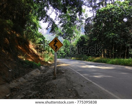 Forest road, crooked arrow symbols, side hills, tourist atmosphere, background image.