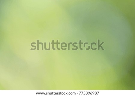green blurred gradient background with sunlight. Nature backdrop. 