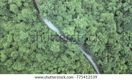 Top View Aerial Drone Shot of Green Nature. tree, forest, road, car and people life background.