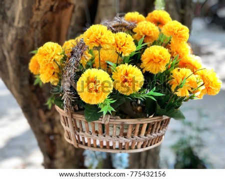 Beautiful calendula in  wooden basket hanging on tree with blurred background