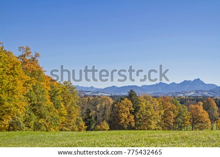 Autumn landscape in the district of Miesbach with a view of the Wendelstein