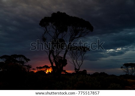 outback Australia remote desert beach red earth sunrise pink sky