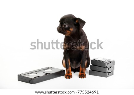 Video Operator Doggy