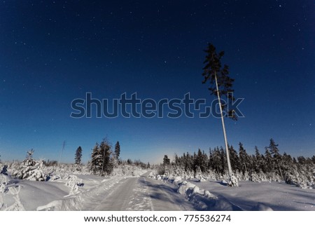 Beautiful nature and landscape photo of Sweden Scandinavia. Nice cold winter night with snow on ground and stars in blue sky. Calm, peaceful outdoors image. 