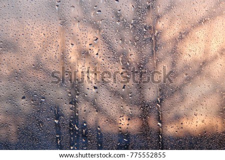 Rain drops on glass with trees and a pink sunset in the background.