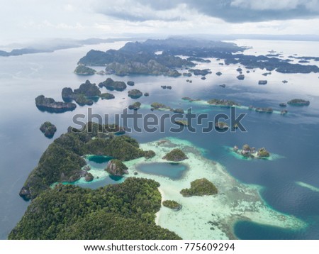 Beautiful limestone islands emerge from the calm seas surrounding Raja Ampat in eastern Indonesia. This remote, tropical area is known for its spectacular marine biodiversity.