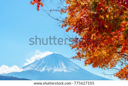 Colorful autumn foliage of Japanese Maple tree leaves with Mt. Fuji or Mount Fujiyama of Fujisan mountain as background. (Selective focus on Maple leaf)