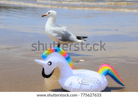 rainbow unicorn cup holder and seagull on the beach