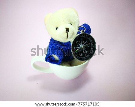 cute bear in a white cup and compass with copy space isolated with pinkish background.