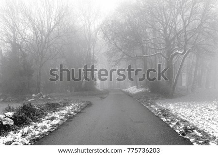 Morning winter misty rural landscapes with trees and fields by Removille, France
