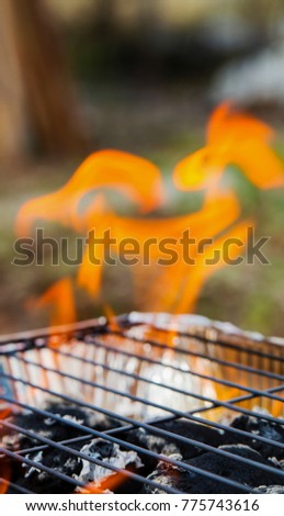 Burning flames over barbecue closeup