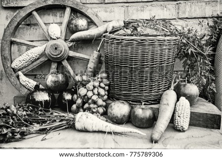 Still life of fruits and vegetables in autumn. Rural food scene. Black and white photo.