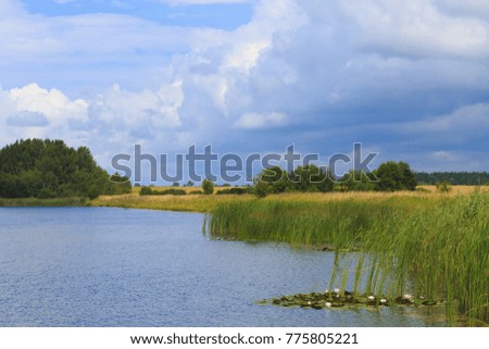 The lake with the water lilies in the northern region of Lithuania.                Lake the natural park in the northern region of Lithuania.                            