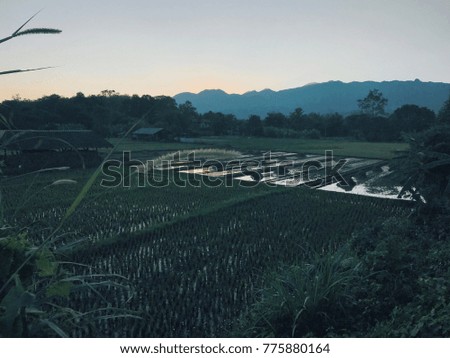 Daytime picturesque image of view in the Northern Thailand.Typical picture of rural scenic natural life of Asian villages. Bright colors of greenery, great flora of Eastern part of continent.