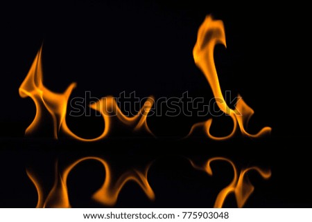 Flames isolated on black