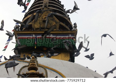 eyes of the Budha and pigeons at a stupa in Kathmandu, Nepal