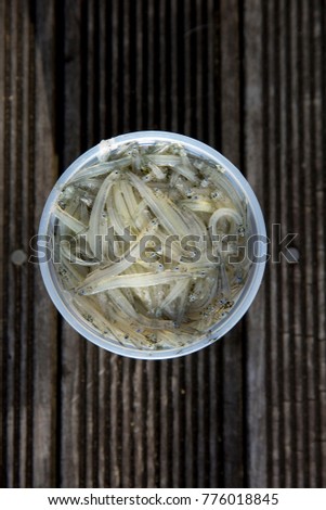 A pot of New Zealand white bait on wooden decking, photographed on an angle with the lid removed.